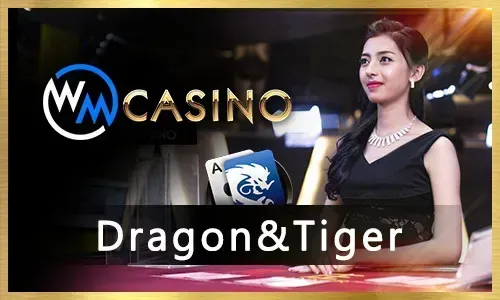 Diverse sports betting options on 22Bet app